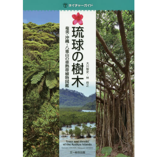 琉球植物記 沖縄・奄美植物図鑑 【公式通販】