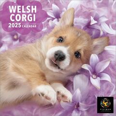 【S版】ウェルシュ・コーギー 2025年カレンダー