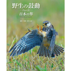野生の鼓動　Ｐａｒｔ４　日本の隼