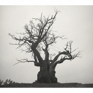 SEKAI NO OWARI／SEKAI NO OWARI 2010-2019（通常盤／2CD） 通販