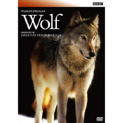 BBC ワイルドライフ・スペシャル II オオカミ（ＤＶＤ）