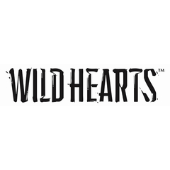 PS5　WILD HEARTS