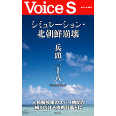 シミュレーション・北朝鮮崩壊 【Voice S】