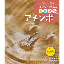 しゃしん絵本　小さな生きものの春夏秋冬　アメンボ