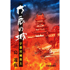 戊辰の城 宇都宮城炎上/下野新聞社/島遼伍 - 人文/社会