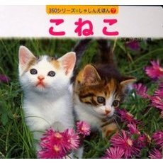 こねこ