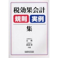 税効果会計規則実例集