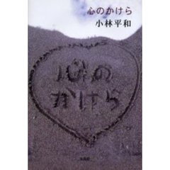 心のかけら