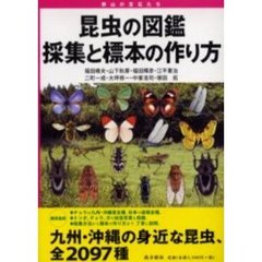 昆虫の図鑑採集と標本の作り方　野山の宝石たち　九州・沖縄の身近な昆虫、全２０９７種