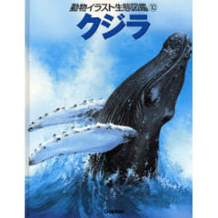 動物イラスト生態図鑑　１０　クジラ
