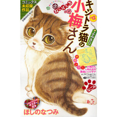 デラックスねこぱんち　’１２　キジトラ猫