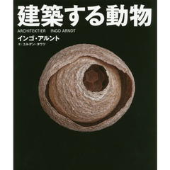 建築する動物