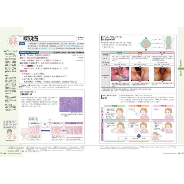 病気がみえるvol.13 耳鼻咽喉科　耳鼻咽喉科