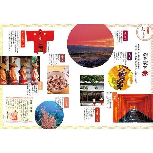 日本のことばずかん そら | 神永 曉 |本 | 通販 | Amazon
