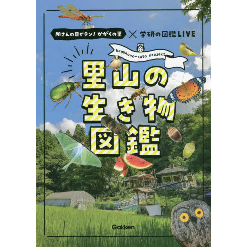 激安/新作 学研の図鑑ライブ昆虫 動物 恐竜 宇宙 鳥 植物 魚 危険生物 地球 人文