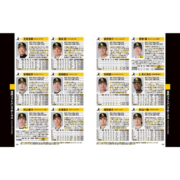 プロ野球選手データ名鑑 2025 通販｜セブンネットショッピング