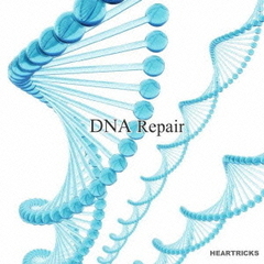 DNA　Repair（ソルフェジオ周波数他、科学的にもDNAの正常な働きを促すとされる周波数を収録）