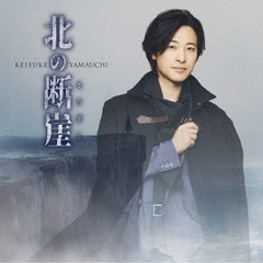 山内惠介／北の断崖（闇盤／CD)