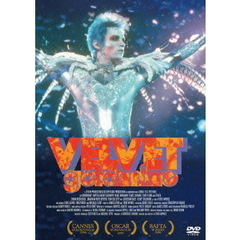 ベルベット・ゴールドマイン（ＤＶＤ）