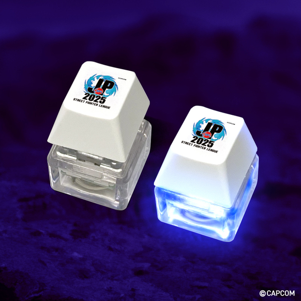 ֥ͥåȥåԥ󥰤㤨֥ȥ꡼ȥե꡼: Pro-JP 2025 ꥸʥ륭åץۥפβǤʤ2,420ߤˤʤޤ