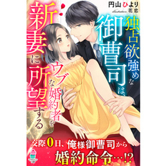 独占欲強めな御曹司は、ウブな婚約者を新妻に所望する