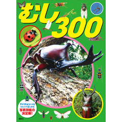 むし　３００