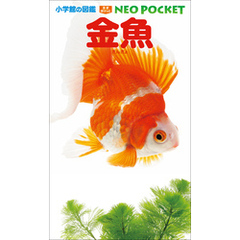 小学館の図鑑NEOポケット 金魚