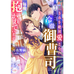 「きみを絶対愛さない」と宣言されたのに、冷徹御曹司に毎晩抱かれています
