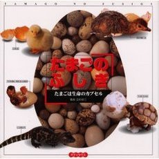 たまごのふしぎ　たまごは生命のカプセル