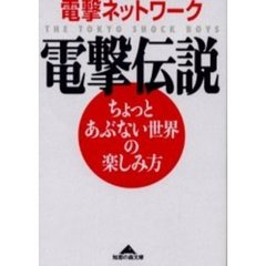 電撃伝説　ちょっとあぶない世界の楽しみ方
