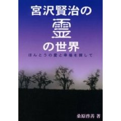 宮沢賢治の霊の世界　ほんとうの愛と幸福を探して　新装