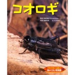 ドキドキいっぱい！虫のくらし写真館　１３　コオロギ