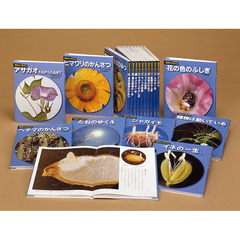 科学のアルバム　植物編　新装版　１８巻セット