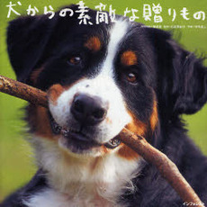 犬からの素敵な贈りもの