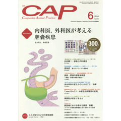 ＣＡＰ　３００