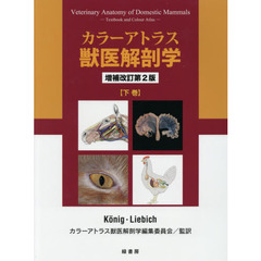カラーアトラス獣医解剖学　下巻　増補改訂第２版