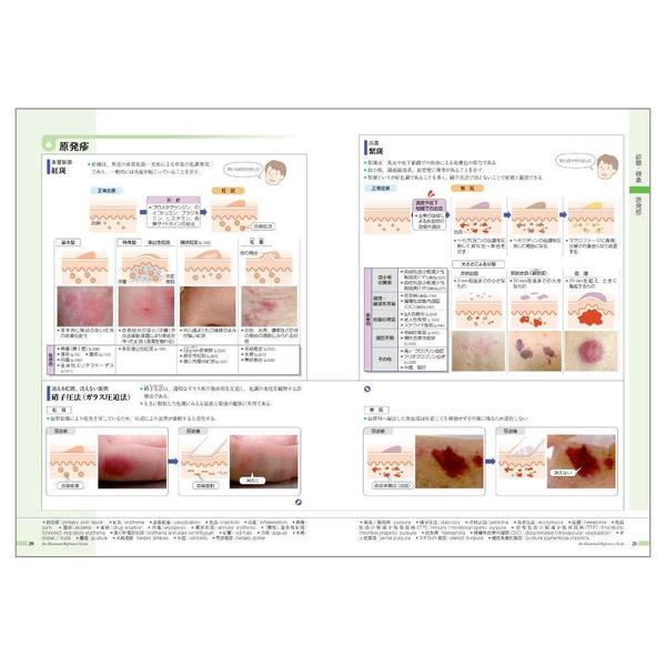 薬がみえるvol.1〜4 (裁断済み) - 健康・医学