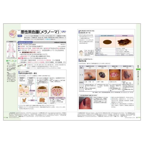 病気が見える