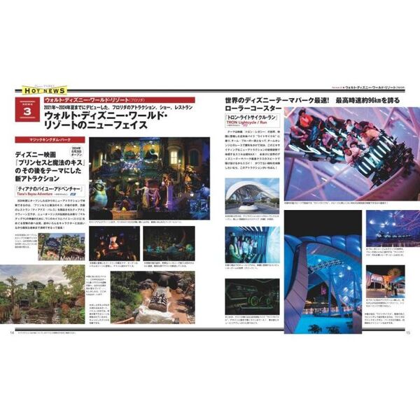 Disney PARKS PERFECT GUIDEBOOK