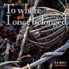 家路：To　where　I　once　belonged