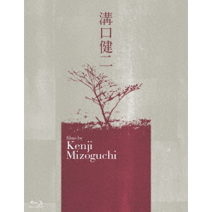 ֥ͥåȥåԥ󥰤㤨ֹ¸4Kǥ뽤ǡBlu?rayBOXʣ£?ģˡפβǤʤ8,659ߤˤʤޤ