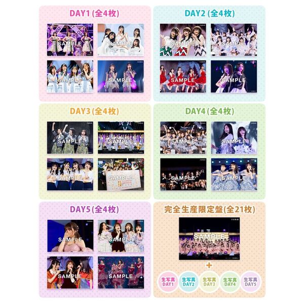 乃木坂46／11th YEAR BIRTHDAY LIVE 5DAYS 完全生産限定盤DVD（セブン 