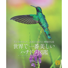 世界で一番美しい ハチドリ図鑑：花を求め育んだ、高速で羽ばたく神秘的な姿