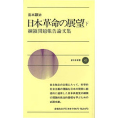 日本革命の展望　綱領問題報告論文集　下