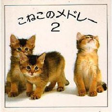 こねこのメドレー　２