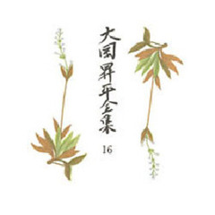 大岡昇平全集　１６