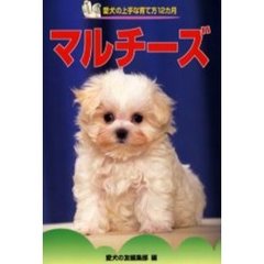 マルチーズ