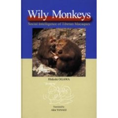 Ｗｉｌｙ　Ｍｏｎｋｅｙｓ　Ｓｏｃｉａｌ　Ｉｎｔｅｌｌｉｇｅｎｃｅ　ｏｆ　Ｔｉｂｅｔａｎ　Ｍａｃａｑｕｅｓ
