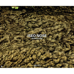 ISEO NOSE : MORPHOLOGY 能勢伊勢雄:形態学