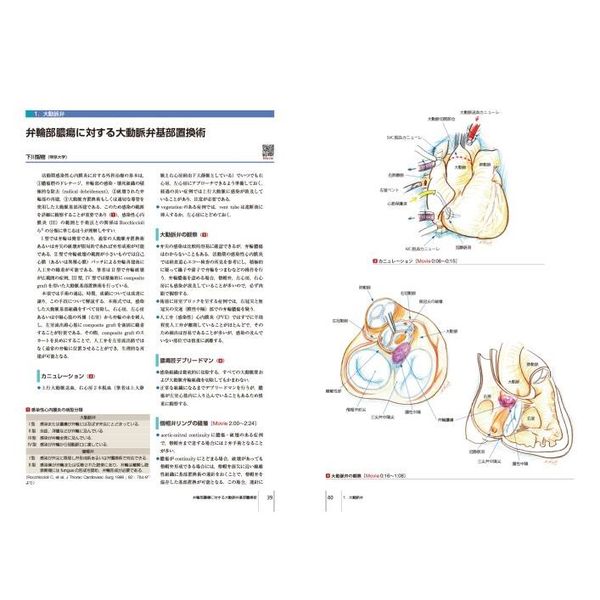 格安正規品 心臓血管外科手術エクセレンス 手術画と動画で伝える １